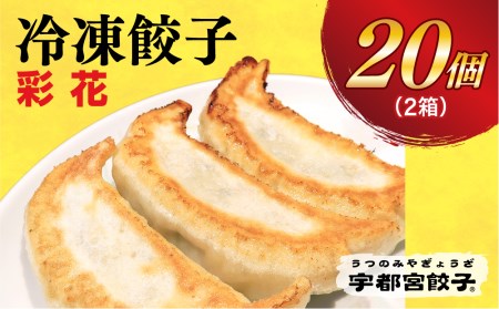 　餃子10個入り×2箱