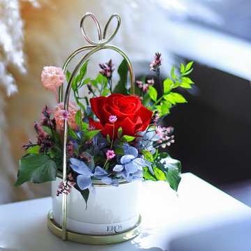 永生花桌花盆花/遇見 桌花/客製永生花花禮/不凋花