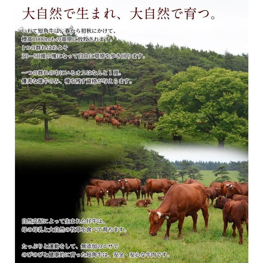 ギフト 肉 牛 牛肉 短角 短角牛 流通1％の幻の赤身 山長ミートさんの短角牛 焼肉用 400g前後 内祝い 冷凍 産地直送 同梱不可 送料無料