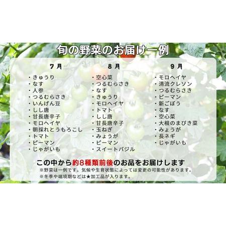 ふるさと納税 西粟倉産 「旬の野菜 おまかせセット」 F-FF-B01A 岡山県西粟倉村