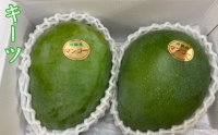 琉球マンゴー園の幻のマンゴー！キーツマンゴー約1.2kg
