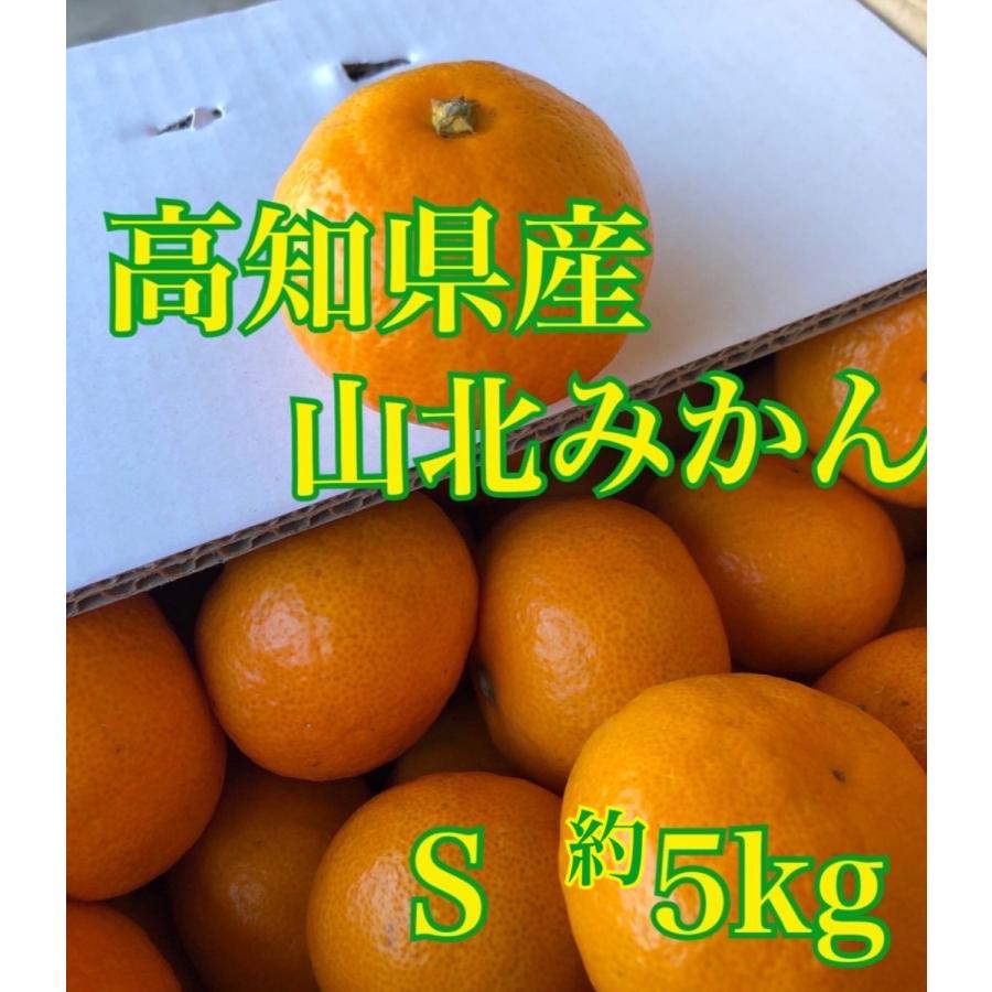 みかん 高知県産 完熟みかん 人気Sサイズ 約５kg  等級秀品  お歳暮　ご自宅 ジュースに スイーツ