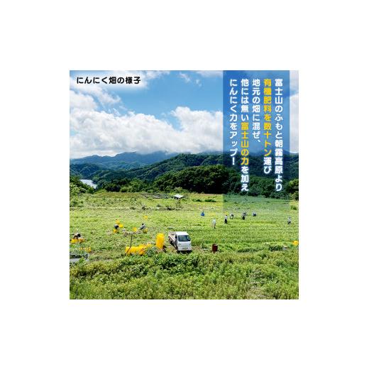 ふるさと納税 山梨県 小菅村 超熟成 黒にんにく 250g×3袋セット