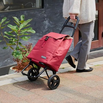 日本cocoro PLAIN BASIC 保溫保冷摺疊購物車-25L-多色可選