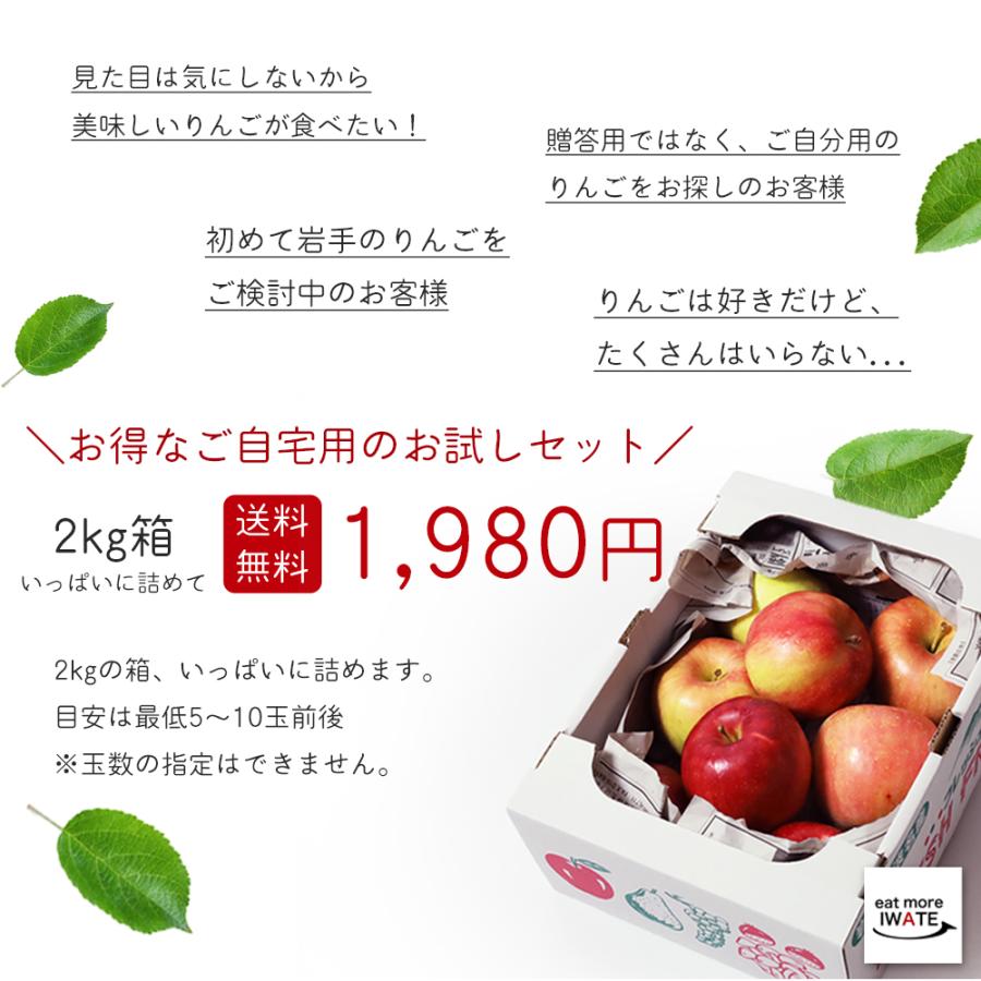 りんご 訳あり 産地直送 岩手県産 サンふじ 2kg 5-10玉入り ふじ ご自宅用 農家直送 林檎 リンゴ 果物 無袋栽培 樹上完熟