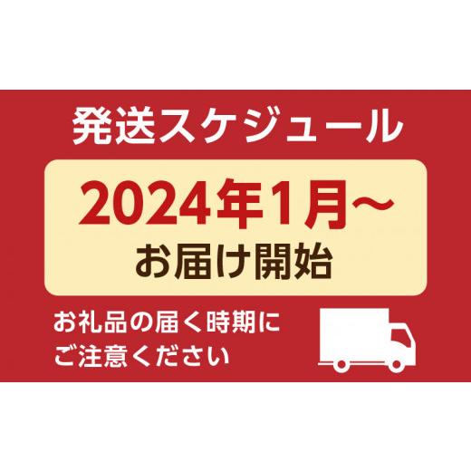 ふるさと納税 鹿児島県 鹿児島市 鹿児島市バラエティ定期便　K000-T2317