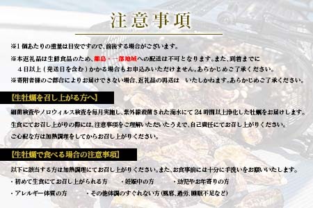 年内発送≪数量限定≫宮崎県産ブランド牡蠣『ひとしおオイスター』計20個　魚介　貝　かき　生食用　殻付き　国産 CB81-23