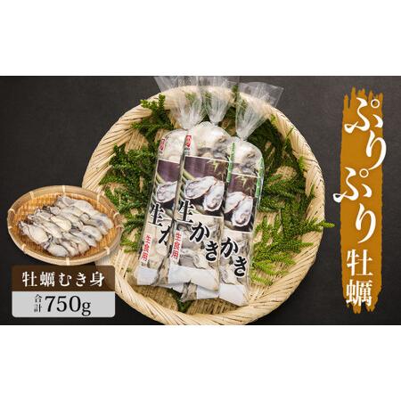 ふるさと納税 ぷりぷり牡蠣 750g（生食用） 宮城県石巻市