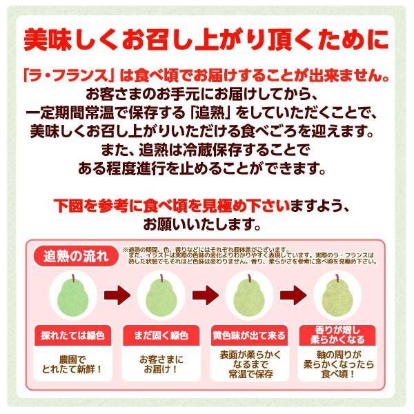 山形県産洋梨　ラ・フランス 5キロ フルーツ王国山形県から厳選されたラ・フランスを産地直送致します