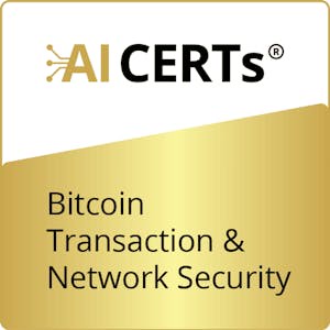 Bitcoin Transaction & Network Security