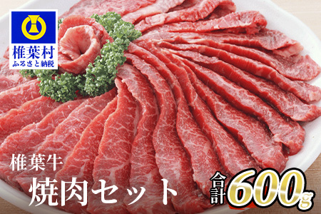 宮崎県産 椎葉牛 焼肉セット