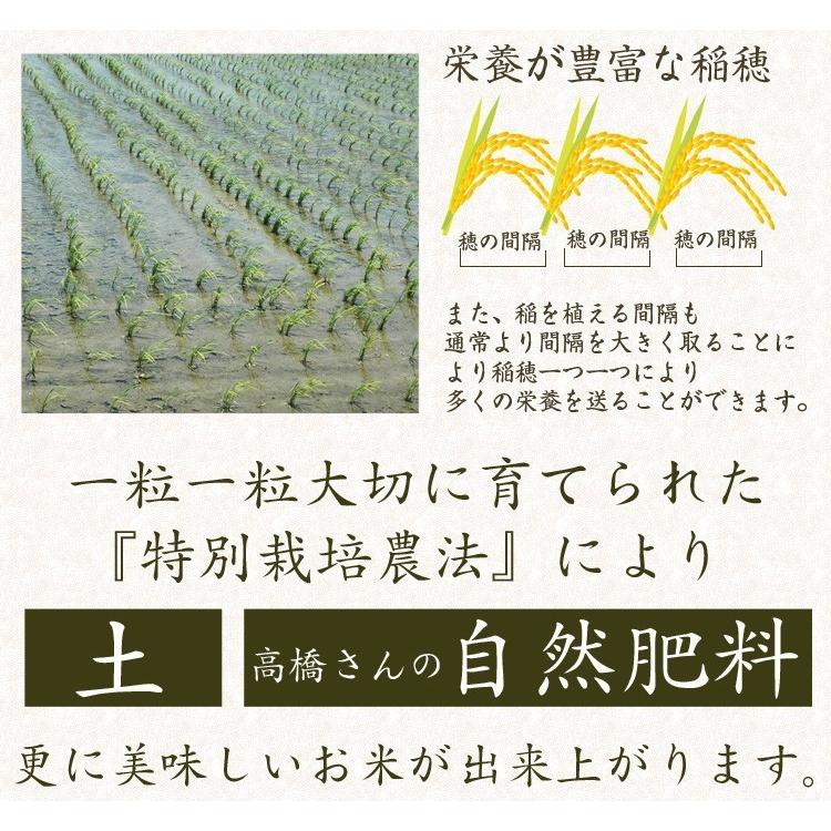 新米 令和3年 自然栽培米 無農薬 新米 米 送料無 10kg 高級 お歳暮 ギフト ミルキークイーン コシヒカリ 金賞 お祝い