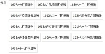 賬本帳冊南京市財政局監制1635A賬夾16K明細分類賬皮多種封面外殼