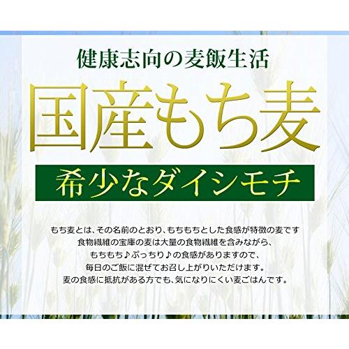 国産 もち麦 900g ダイシモチ 茶(赤紫)色