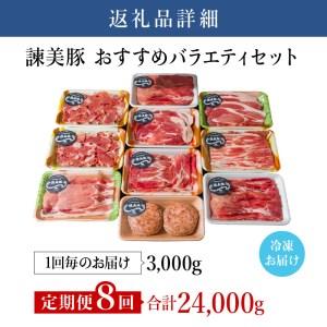 ふるさと納税 『定期便』_諫美豚(かんびとん)おすすめバラエティセット3kg_全8回 長崎県諫早市