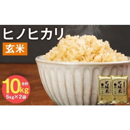 ふるさと納税 熊本県菊池産 ヒノヒカリ 5kg×2袋 計10kg 玄米 米 お米 令和4年産 熊本県菊池市