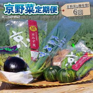 ふるさと納税  京野菜 野菜 6種 程度 定期便 6回 野菜 詰め合わせ 野菜 京都 野菜セット 季節 旬 栄養食 栄養野菜 九条ネギ 野菜 万願寺 .. 京都府