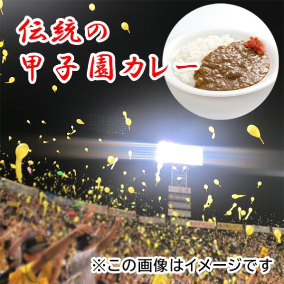 12食入り！伝統の甲子園カレー「中辛6食入り＋辛口6食入り」 （レトルトカレー セットC）