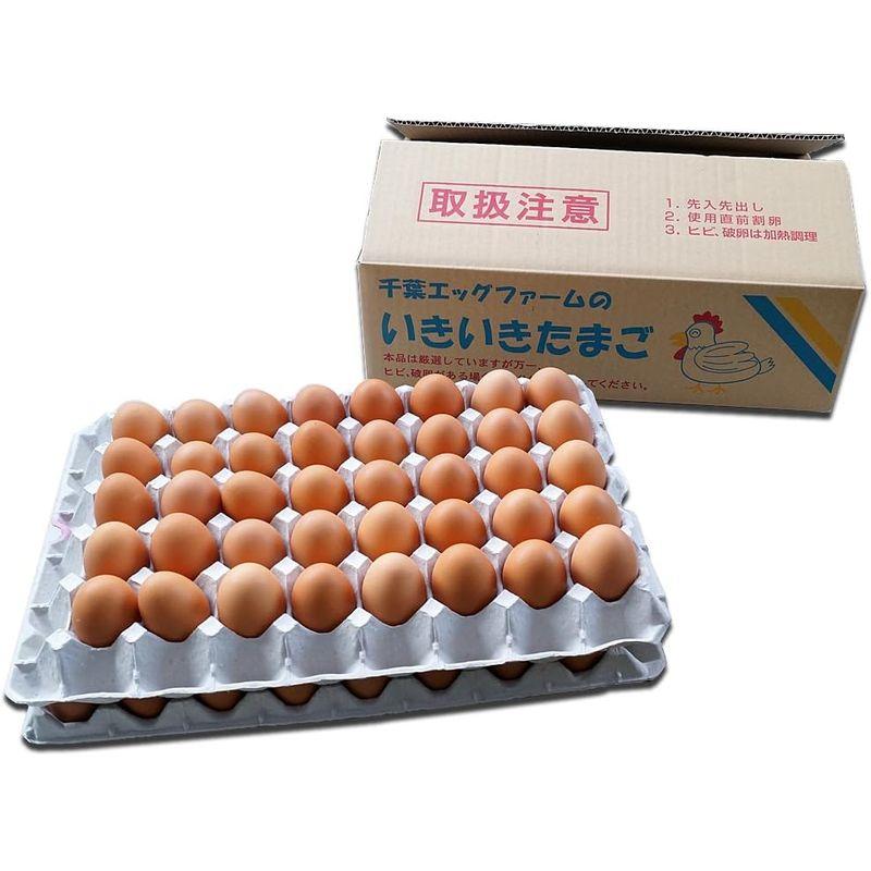 千葉エッグファーム いきいき卵 80個入 (赤玉)