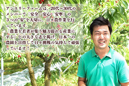 令和6年産 さくらんぼ「 佐藤錦 」600g (300g×2パック) 秀品 Lサイズ以上 2024年産 山形県産 山形産 　020-A-AF001