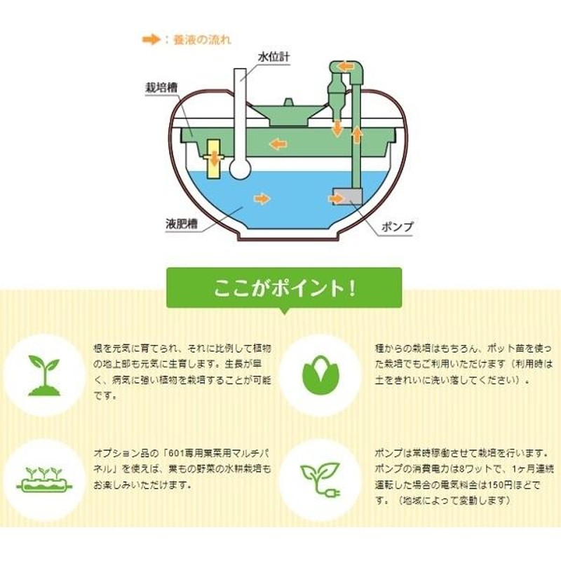 水耕栽培キット 家庭用 家庭菜園 水耕栽培 セット 屋内 ガーデニング ホームハイポニカ601果菜ちゃん ハイポニカ | LINEブランドカタログ