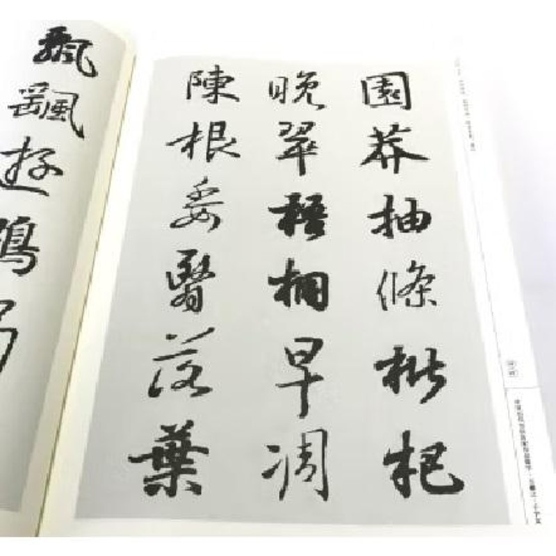 王義之 千字文 中国歴代書道名家作品集字 中国語書道/王羲之 千字文 