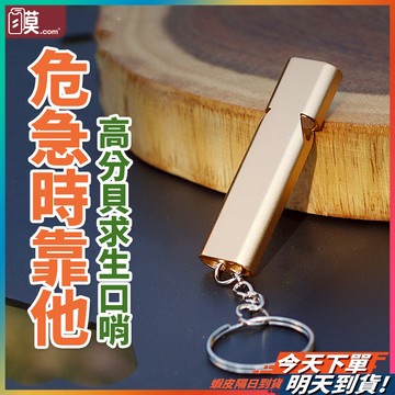 【關鍵時刻救命】高分貝哨子 哨子 口哨 求生哨 現貨 高音哨 求生口哨 防狼口哨 登山哨子 隨身哨子 超大聲口哨