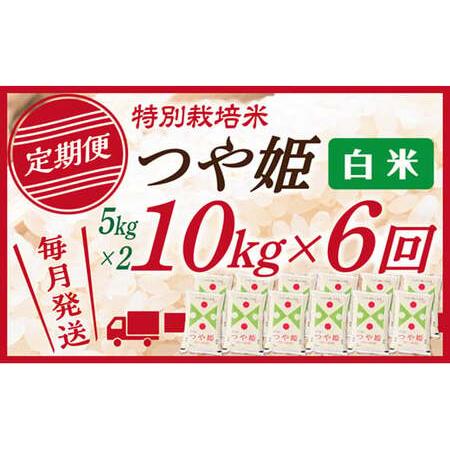 ふるさと納税 白米 山形県産 つや姫 10kg(5kg×2) 6回配送　 山形県最上町