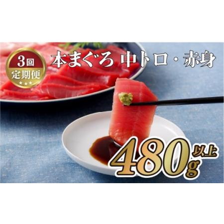 ふるさと納税 《定期便》長崎県産本まぐろ(中トロ・赤身)480g以上 長崎県佐世保市