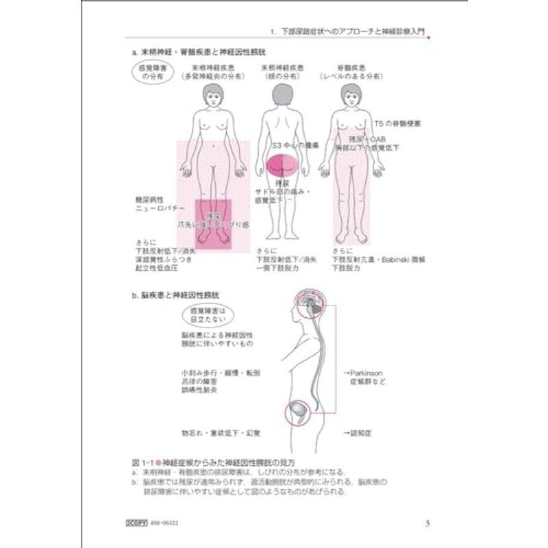 神経因性膀胱ベッドサイドマニュアル 改訂第2版