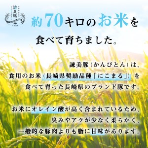 『定期便』_豚肉切り落とし2.1kg!諫早平野の米で育てた諫美豚_全7回