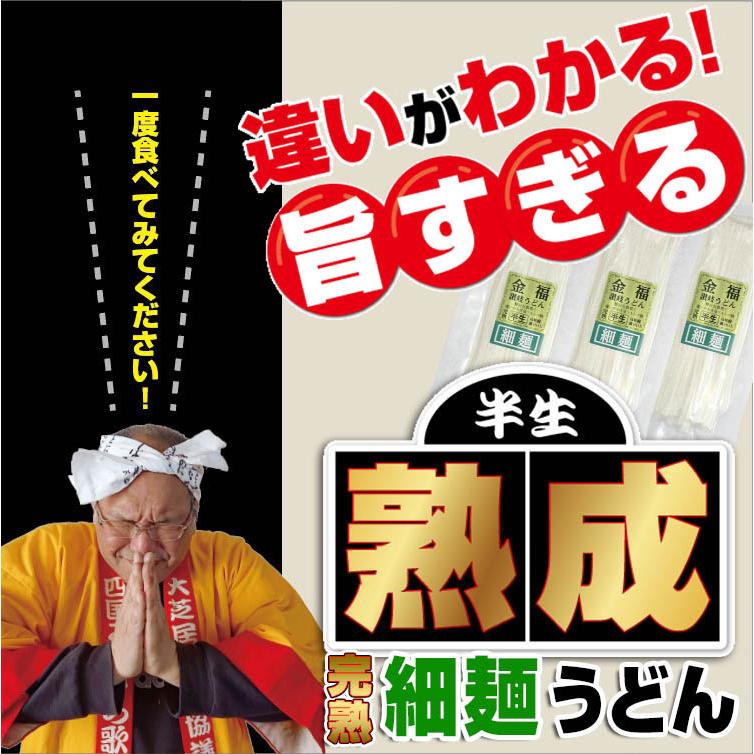 20時間熟成  半生 細麺 讃岐うどん つゆ付きセット 便利な個包装 750g 送料無料 最安値挑戦 得トクセール 特産品