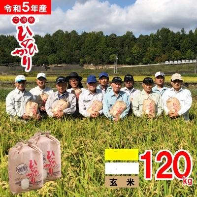 ふるさと納税 笠岡市 玄米 岡山県産ひのひかり 笠岡産 120kg太陽の恵み O-2_120k