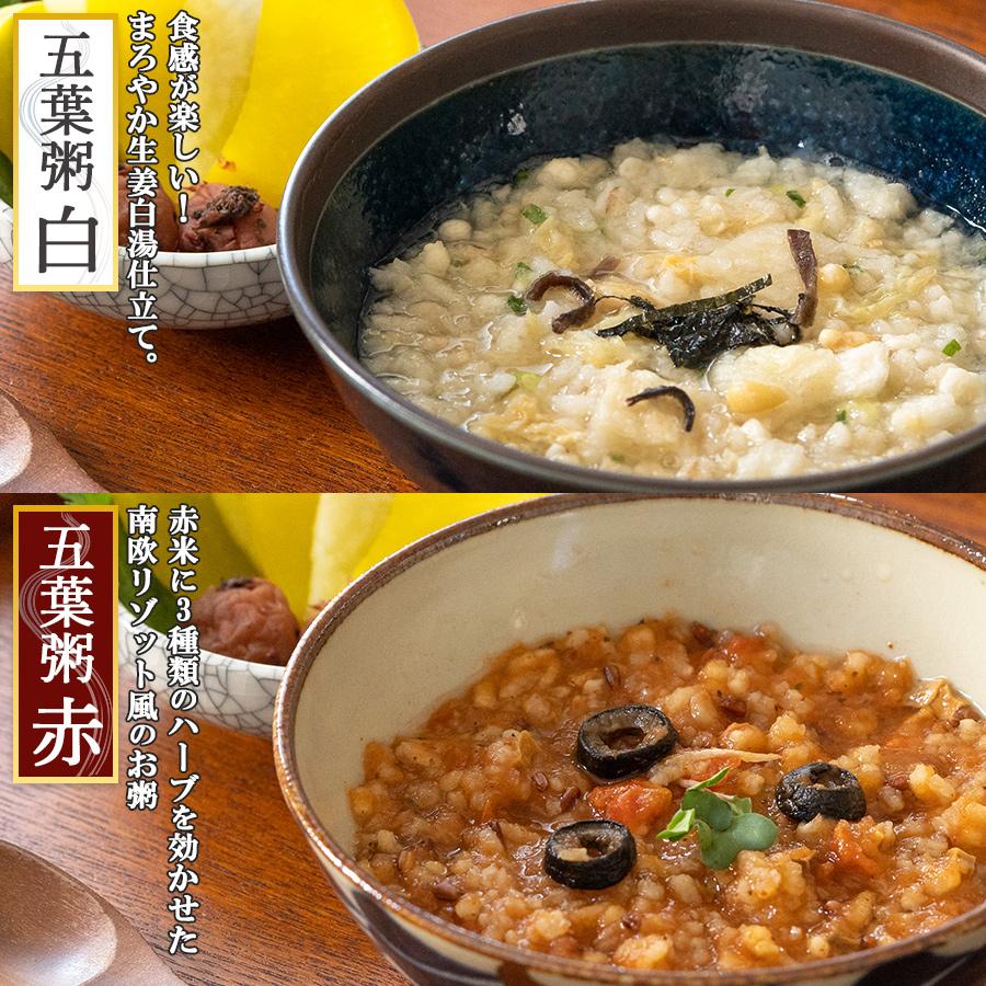 おかゆ 養命酒 永平寺 お試し10食セット 薬膳 お粥 フリーズドライ食品 レトルト食品 ギフト 2023お取り寄せ