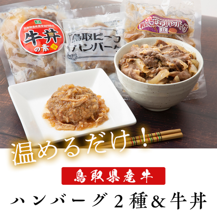 鳥取県産ハンバーグ２種牛丼セット