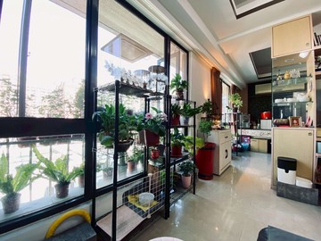 北大特區哲里雙門牌雙車位4房 同心圓團隊美莉｜新北市樹林區大義路