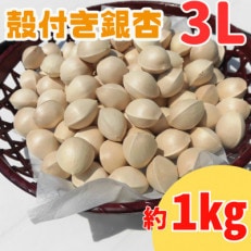 殻付き銀杏 (ぎんなん) 約1kg(200g×5パック)