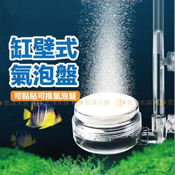 宏洋水族【缸壁式✨氣泡盤】可換氣泡片✅永久使用推薦〞奈米氣泡盤 氣泡石 氣盤 打氣機 打氣盤 氣泡盤 細化器 打氣 增氧