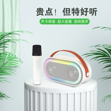 現貨P6便攜藍牙音箱手機麥克風話筒套裝兒童家庭ktv便攜式K歌音響【Snowbelle優選】