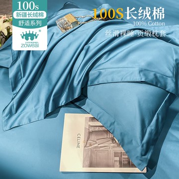 輕奢100支枕頭套純棉一對裝高端男家用冬季全棉單人枕芯套48x74cm