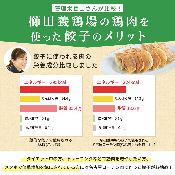 お一人様1回限り お試し！ 鶏しそ餃子 30個入り(30個入り×1袋) 冷凍餃子 餃子 送料無料 お試し 生餃子 冷凍生餃子 食品 惣菜 中華 鶏肉