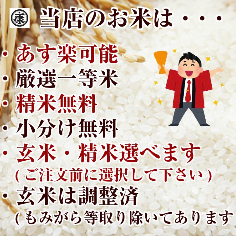 令和5年産 新米 千葉県産コシヒカリ 玄米30kg (10kg×3袋) 精米無料(精米は9kg×3袋)