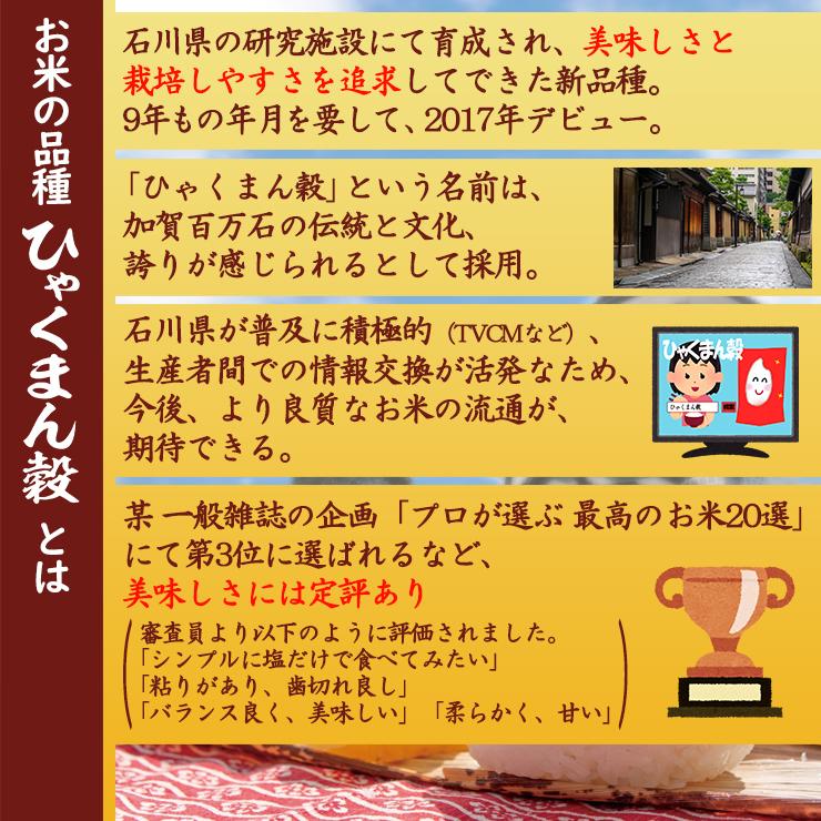 新米 米 ひゃくまん穀 5kg 石川県産 白米 令和5年産 送料無料