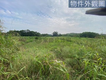 高雄阿蓮中路/重劃區方正景觀美優質農地｜高雄市阿蓮區中路