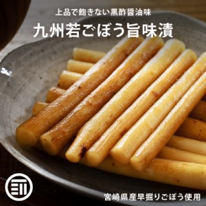 [前田家] 国産 プレミアム ごぼう漬け 300g（150g×2） ご飯のお供 飽きのこない和風醤油味 おかず おつまみ 漬物 お酒によくあう 送料無