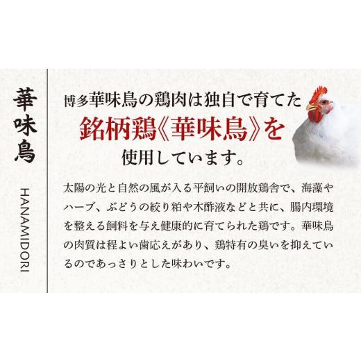 ふるさと納税 福岡県 筑前町 博多華味鳥　水たきセット　３〜４人前　HS-A1【水炊き 肉 鶏 水炊き お肉 水炊き とりにく 水炊き 有名店 水炊き 食品 福岡名物 …