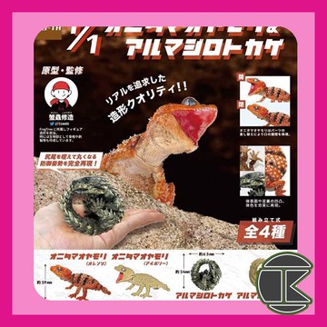 【愛蛋客】現貨 日版 SO-TA 1比1鬼玉尾守宮與犰狳蜥 扭蛋 轉蛋  畢業禮物 全四種