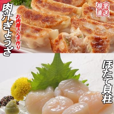 ふるさと納税 根室市 餃子25個×2P、ほたて貝柱500g×2P C-36053