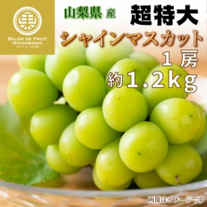  超特大 シャインマスカット 1房 約1.2kg 山梨県産  マスカット ぶどう ギフト 通販 果実箱 お中元 御中元 夏ギフト お