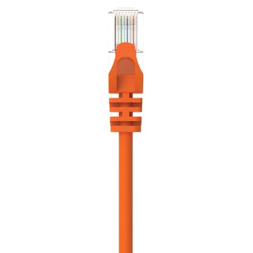 POLYWELL CAT6 高速網路線 RJ45福祿克認證 PW15-W58-F003  30cm  橘色  1條